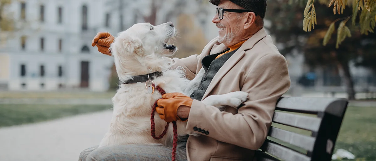 Alter Mann sitzt auf einer Bank im Park und spielt mit seinem Hund