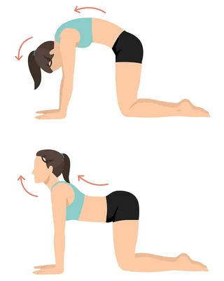 Grafische Darstellung der Übung Katze-Kuh