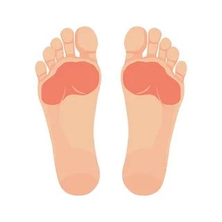 Grafische Abbildung zweier Füße mit einer Hervorhebung am Vorfuß