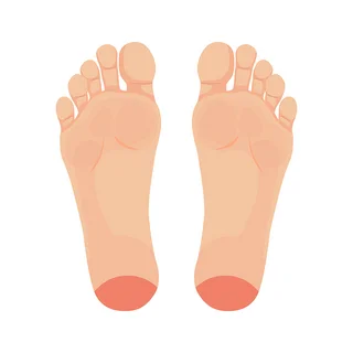 Grafische Abbildung zweier Füße mit einer Hervorhebung an der Ferse